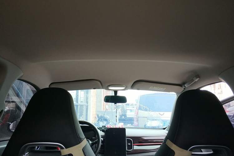 Used Chery Little Ant 2024 Edition Youth Version 251km True Love Edition 25.05 kWh Headliner