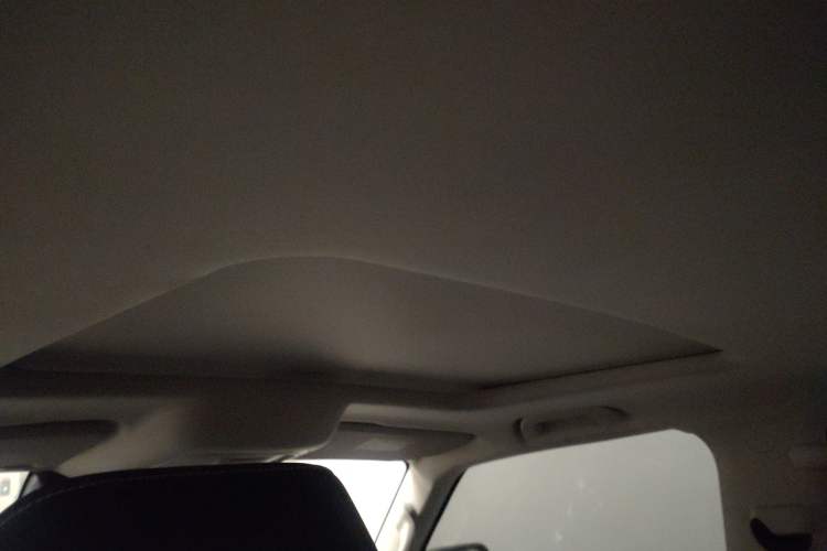 Used Tank 300 2024 2.0T Challenger Headliner