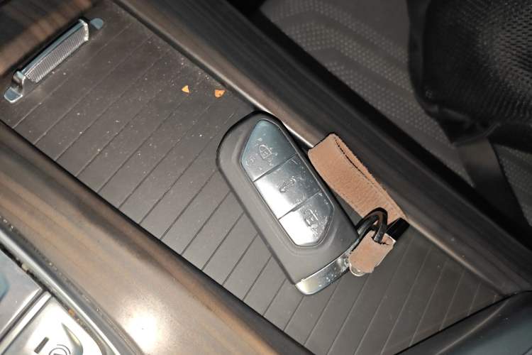 Used VOYAH FREE 2021 Four-Wheel Drive Standard Range-Extended Exclusive Luxury Package Interior 1