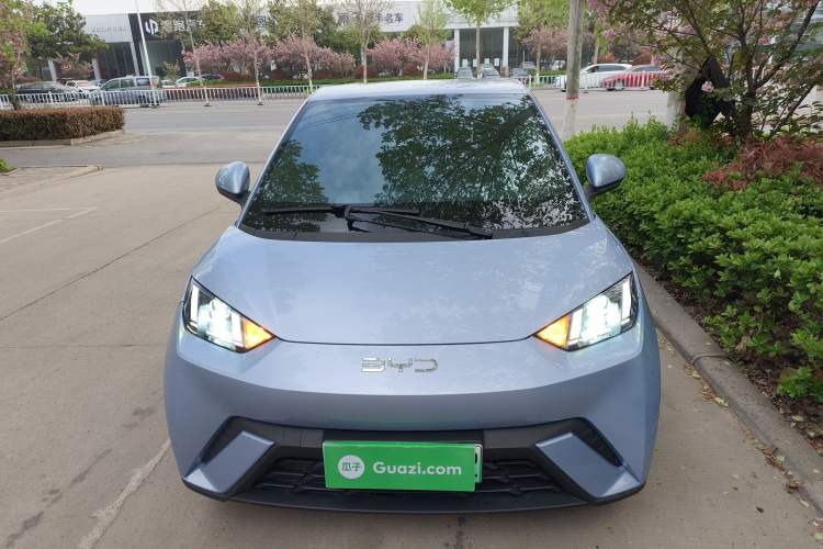 Used BYD Seagull 2024 Honor Edition 305km Dynamic Version
