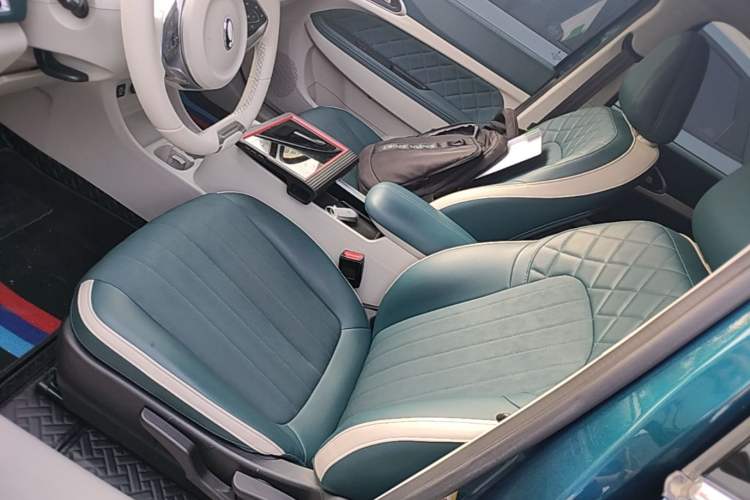 Used ORA Good Cat 2021 400km Standard Range Venus Edition Lithium-Ion Battery
