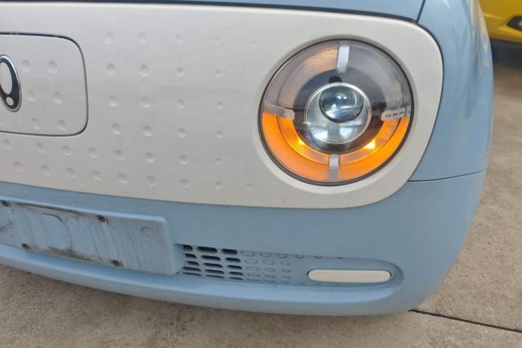 Used ORA Black Cat 2022 Updated Version 301 km Cute Pet Edition Lithium Iron Phosphate
