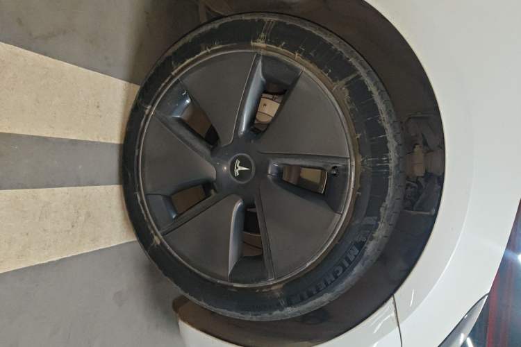 Used Tesla Model 3 2022 Rear-Wheel-Drive Version