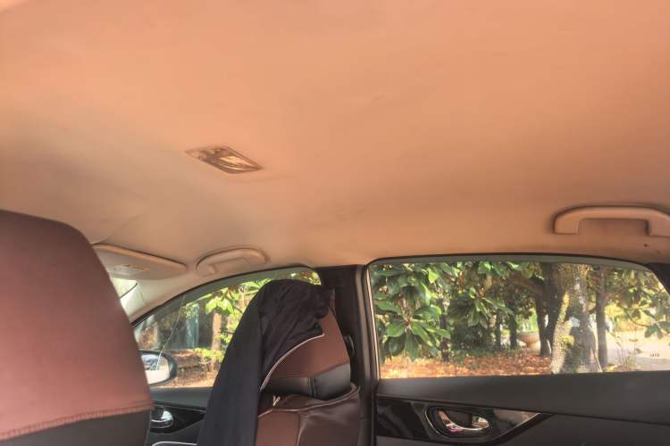 Used Venucia D60EV 2020 Standard Range Smart Drive Edition Headliner