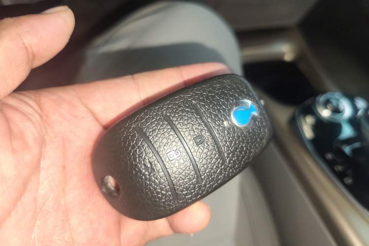 Used Denza Denza 2018 450 Base Version