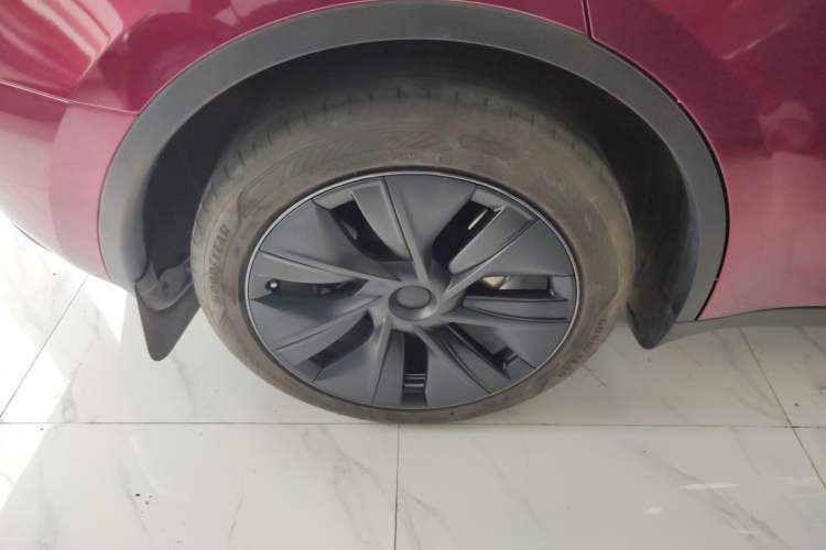 Used Tesla Model Y 2024 Rear-Wheel-Drive Version Exterior 5
