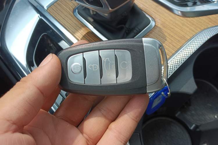 Used Hongqi E-HS9 2021 460 km Range Flagship Edition Six-Seater