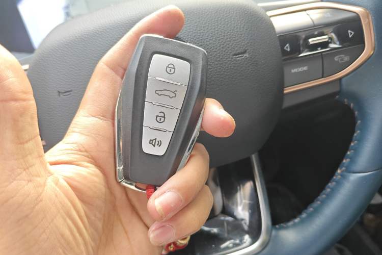 Used Livan Livan 9 2023 470 km Founder Edition