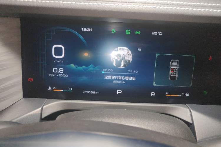 Used Tank 300 2021 City Edition 2.0T—Truly Stylish
