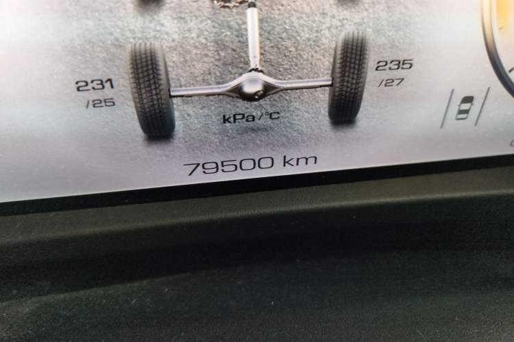 Used Tank 500 2022 3.0T Sport Edition "Creation" Version 5-Seater Odometer Close Up