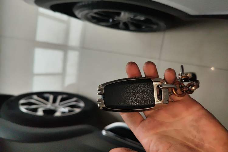 Used Haval DARGO 2021 2.0T DCT Two-Wheel Drive Chinese Mastiff Edition Vehicle Key