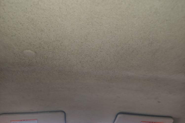 Used Suzuki Alto 2009 1.0L Automatic Luxury Version Headliner