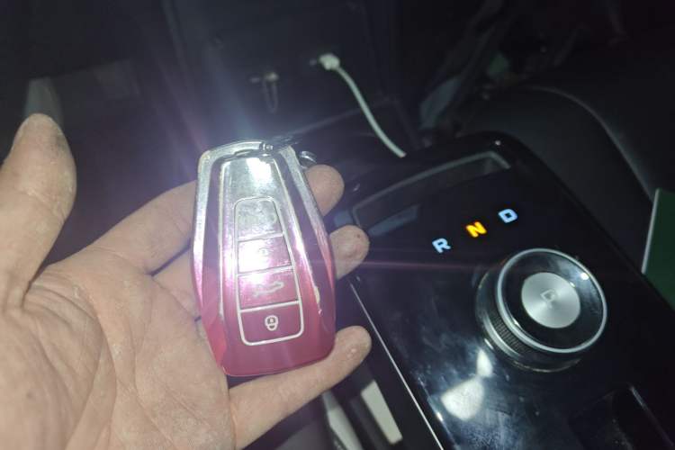 Used Geometry E Firefly 2022 401 km Linglong Tiger 4 Seats
