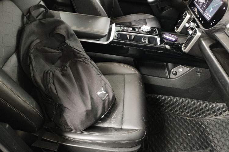 Used Haval DARGO 2022 2.0T DCT 4x4 Chinese Rural Dog Edition Right Front Seat