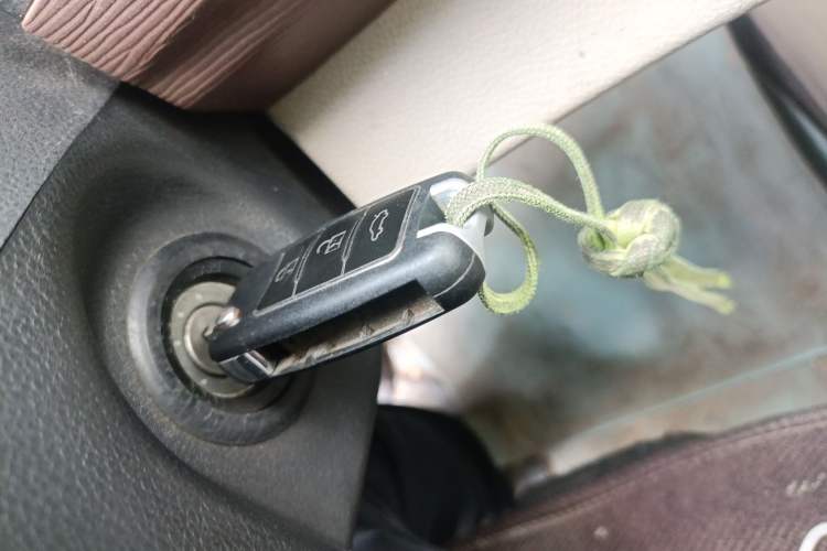 Used FORTHING Lingzhi 2020 M5L 1.6L Utility Model