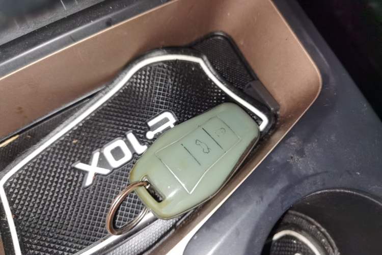 Used SOL E10X 2022 Flower Fairy Design Four-Leaf Clover
