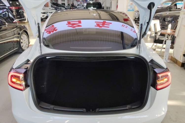 Used Tesla Model 3 2020 Standard Range Rear-Wheel Drive Upgraded Version