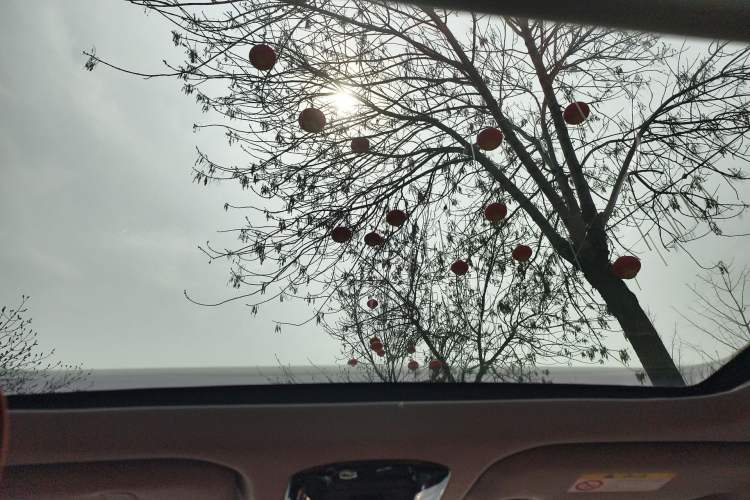 Used Toyota Venza 2023 2.0L CVT Two-Wheel Drive Luxury Edition
