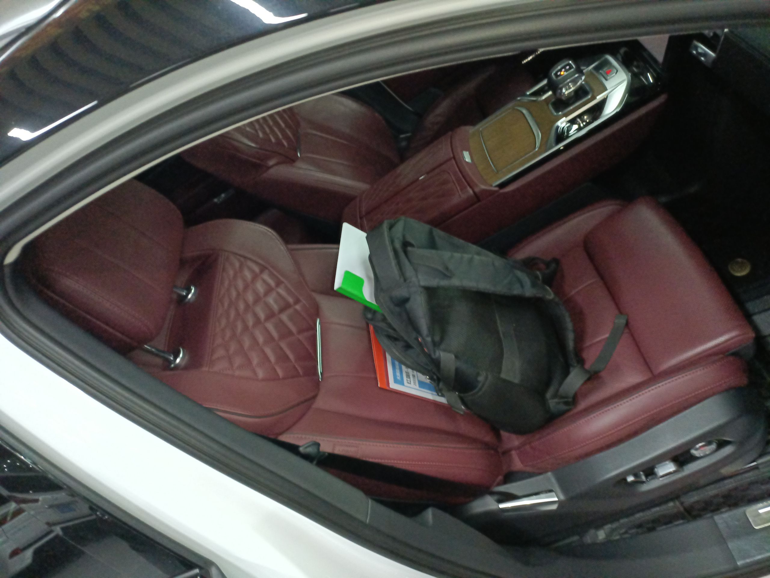 Hongqi E-HS9 2022 660 km Range Flagway Edition Six Seats — снимка 18
