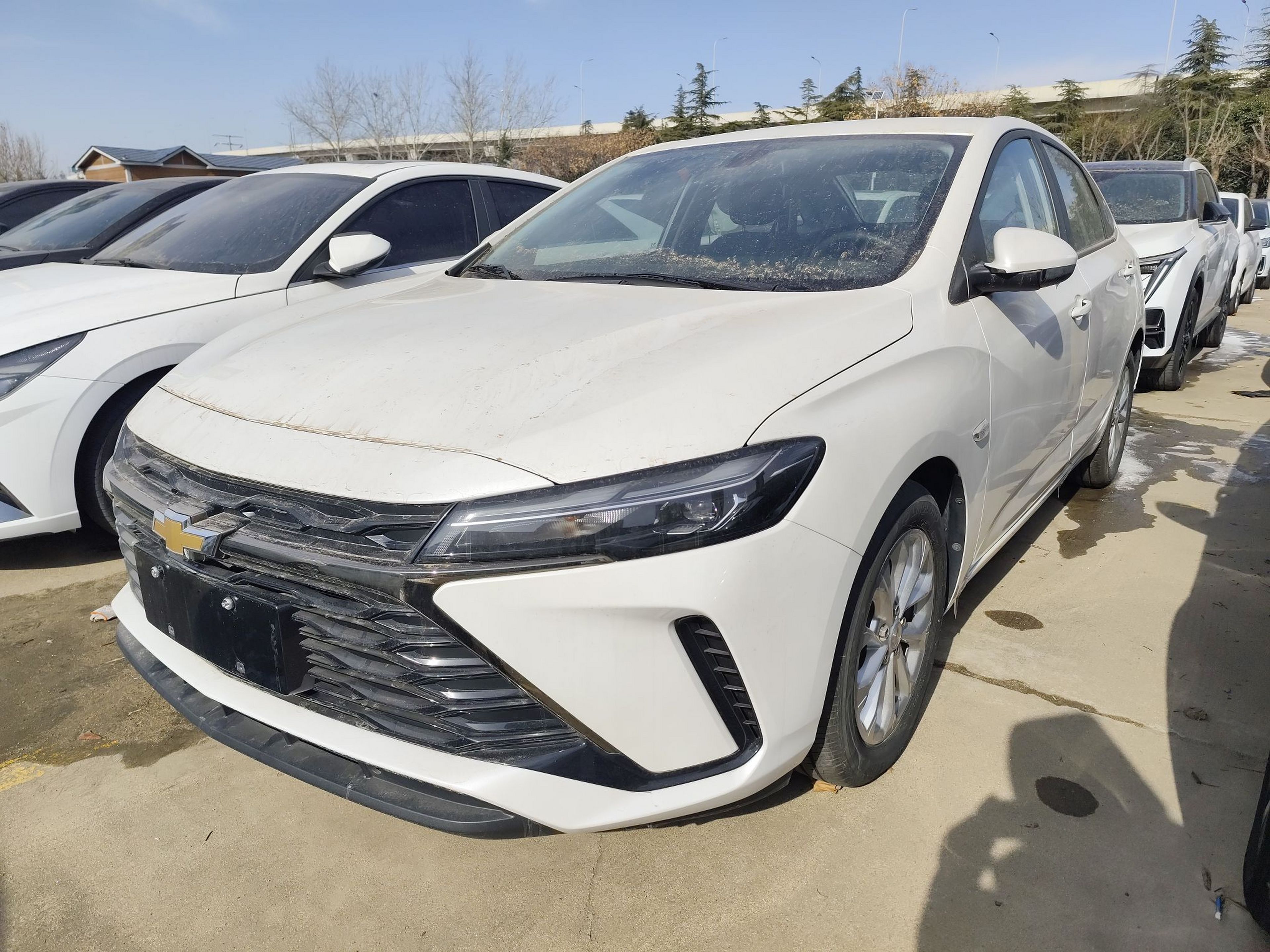 Under Front Bumper
