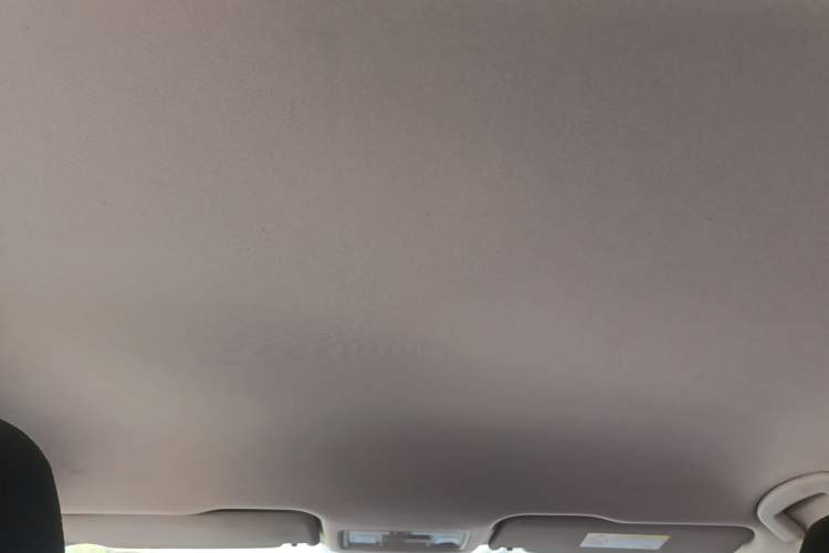 Used Volkswagen Bora 2019 1.5L Manual Fashion Edition Headliner