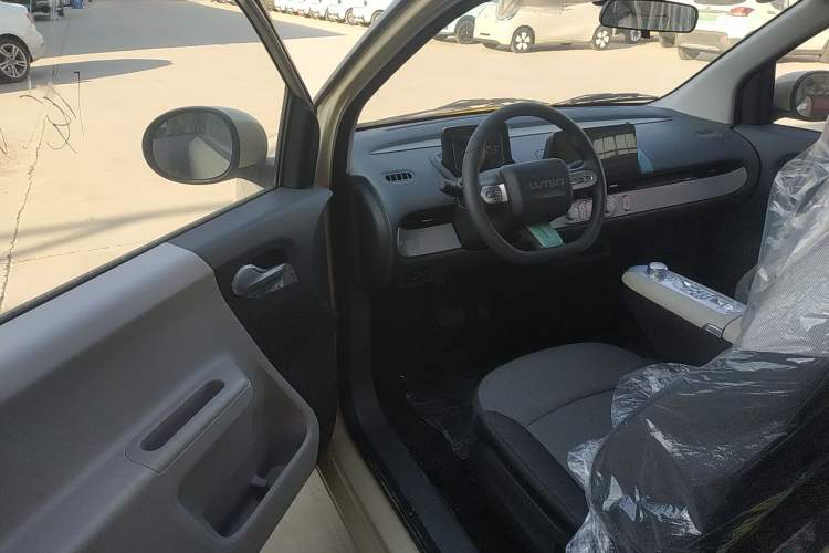 Used Qiyuan Lumin 2025 205 km Xiangqin Version
