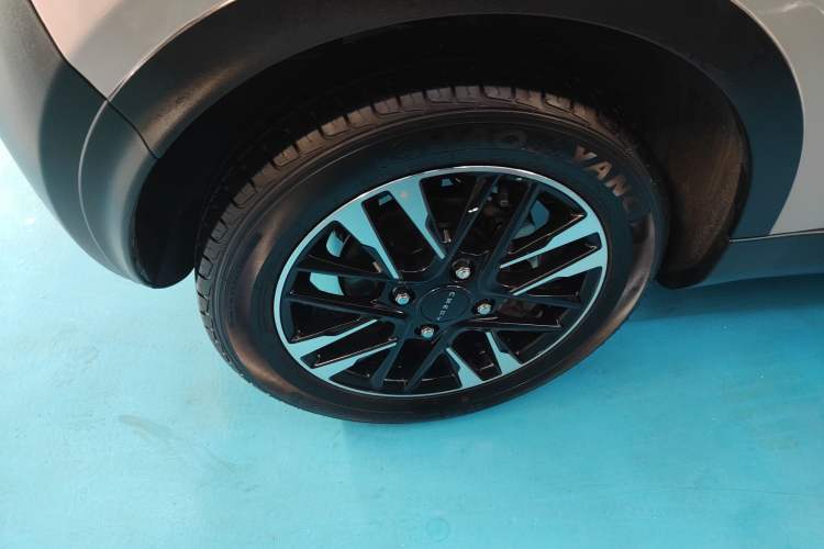 Used Chery Little Ant 2023 251km True Love Edition Lithium Iron Phosphate