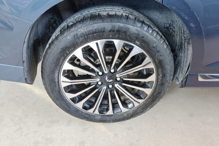 Used Wuling Victory 2023 2.0L DHT Deluxe Edition
