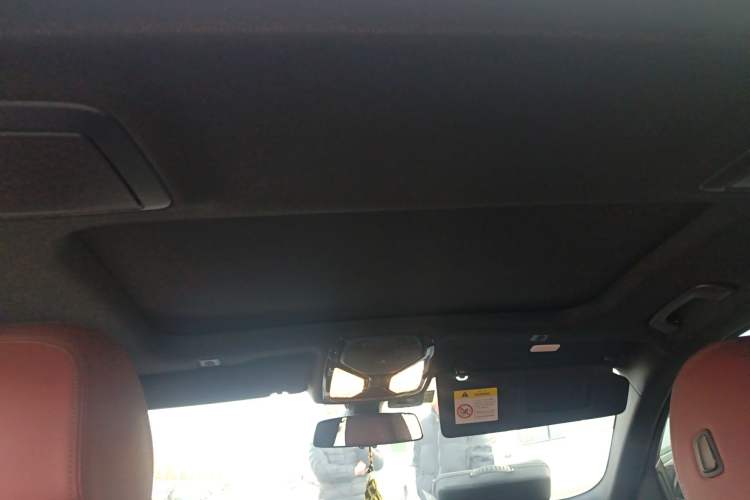 Used BMW 5 Series 2019 530Li Leading Model M Sport Package Headliner