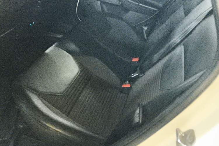 Used Ford Focus 2018 Hatchback Classic 1.6L Automatic Trendy SmartDrive Edition