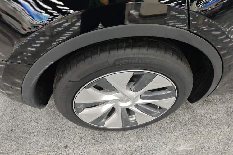 Used Tesla Model Y 2021 Standard Range Rear-Wheel Drive Version
