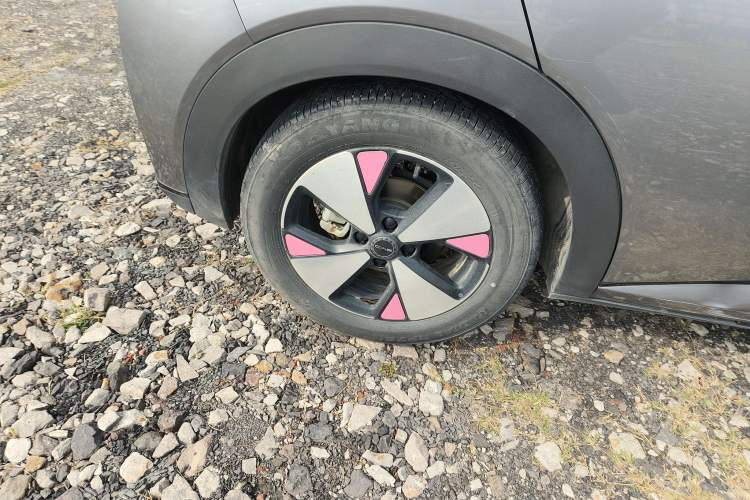 Used BYD Dolphin 2023 420 km Free Version