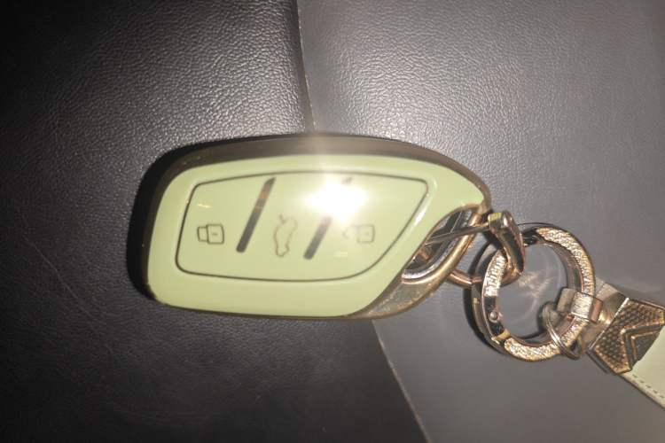 Used Roewe Clever 2022 311km QiQi BoBo Edition Vehicle Key