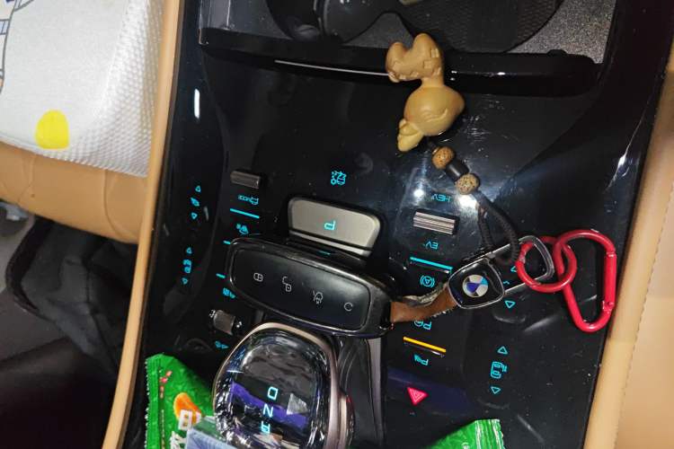 Used Denza D9 2022 DM-i 970 Four-Wheel Drive Flagship Model
