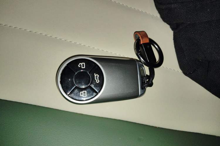 Used ORA Good Cat 2023 401 km Standard Range Luxury Version Lithium Iron Phosphate