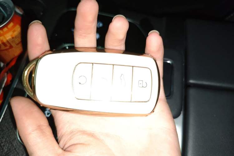 Used Chery Tiggo 9 2023 2.0T Dual-Clutch Two-Wheel Drive Luxury Edition 5 Seats