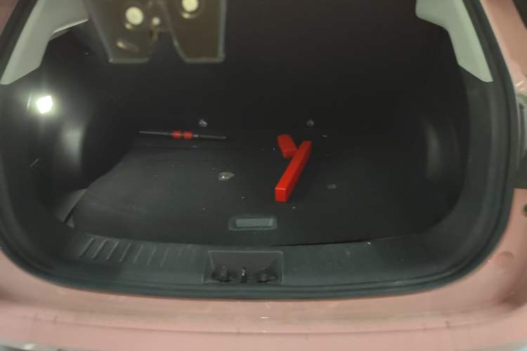 Used NETA V 2022 Chao 400 Lite Pink Custom Edition