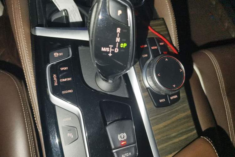 Used BMW 5 Series New Energy 2019 530Le Luxury Package
