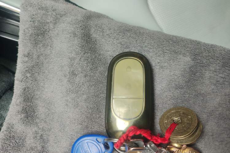 Used Leapmotor C01 2022 Rear-Drive Long-Range Version Vehicle Key