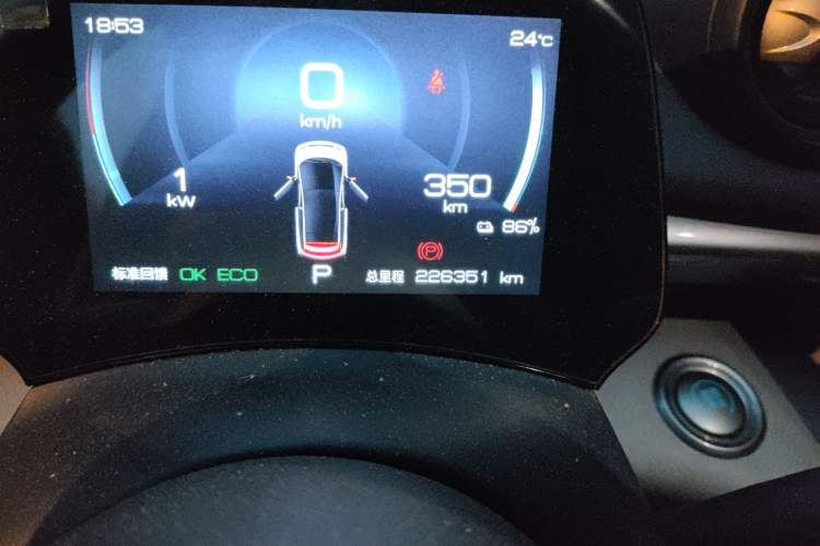 Used BYD Dolphin 2021 405 km Free Version Odometer Close Up