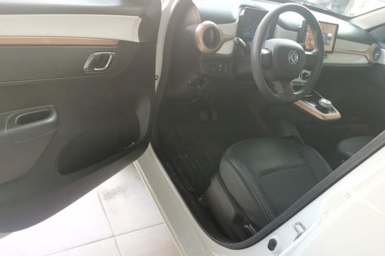 Used Dongfeng NAMMI EX1 2023 PRO Light Wind Edition Lightning Model