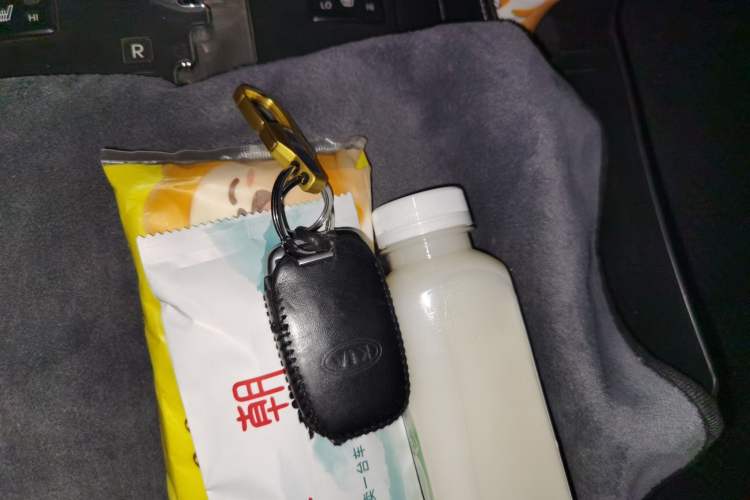 Used Kia Borrego 2013 3.8L Luxury Edition China V standard