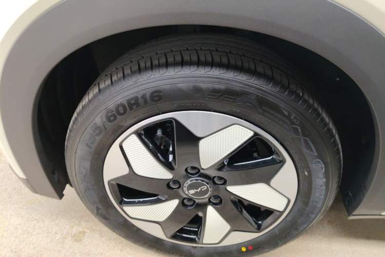 Used BYD Dolphin 2025 420km Free Edition