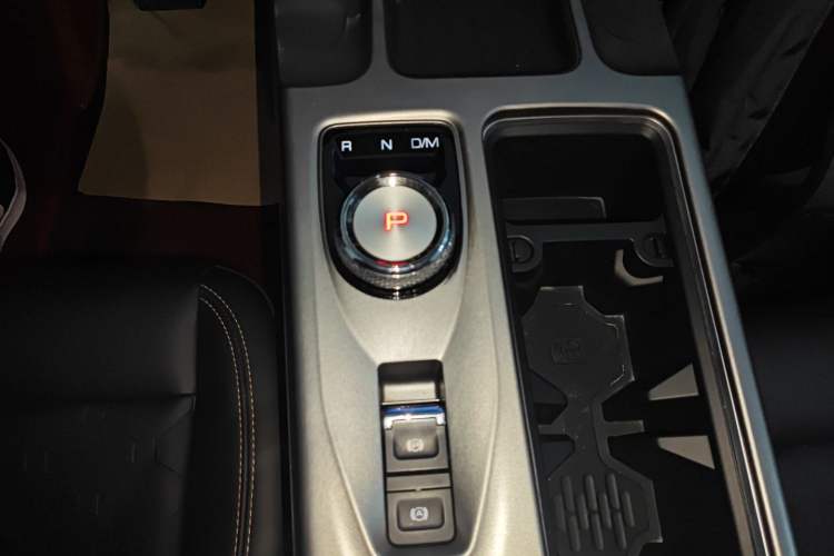 Used Haval DARGO 2024 2.0T DCT Chinese Rural Dog Edition
