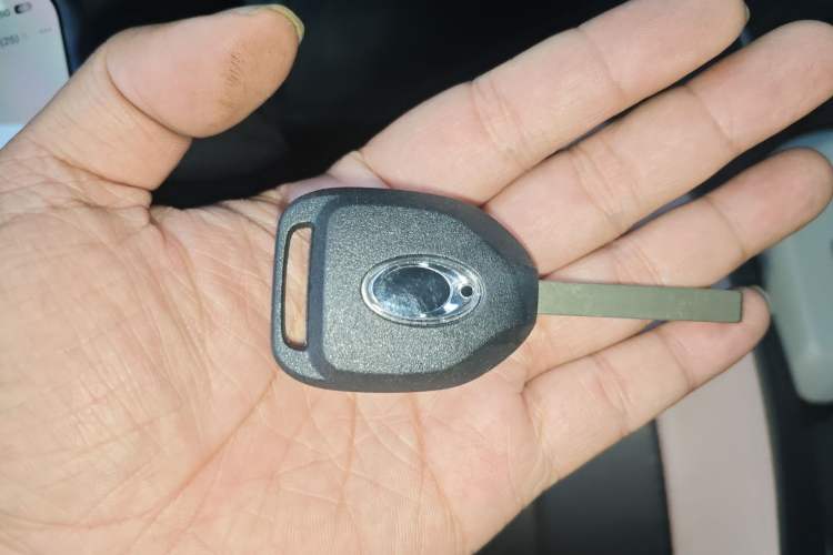 Used ORA Black Cat 2019 301km Standard Edition