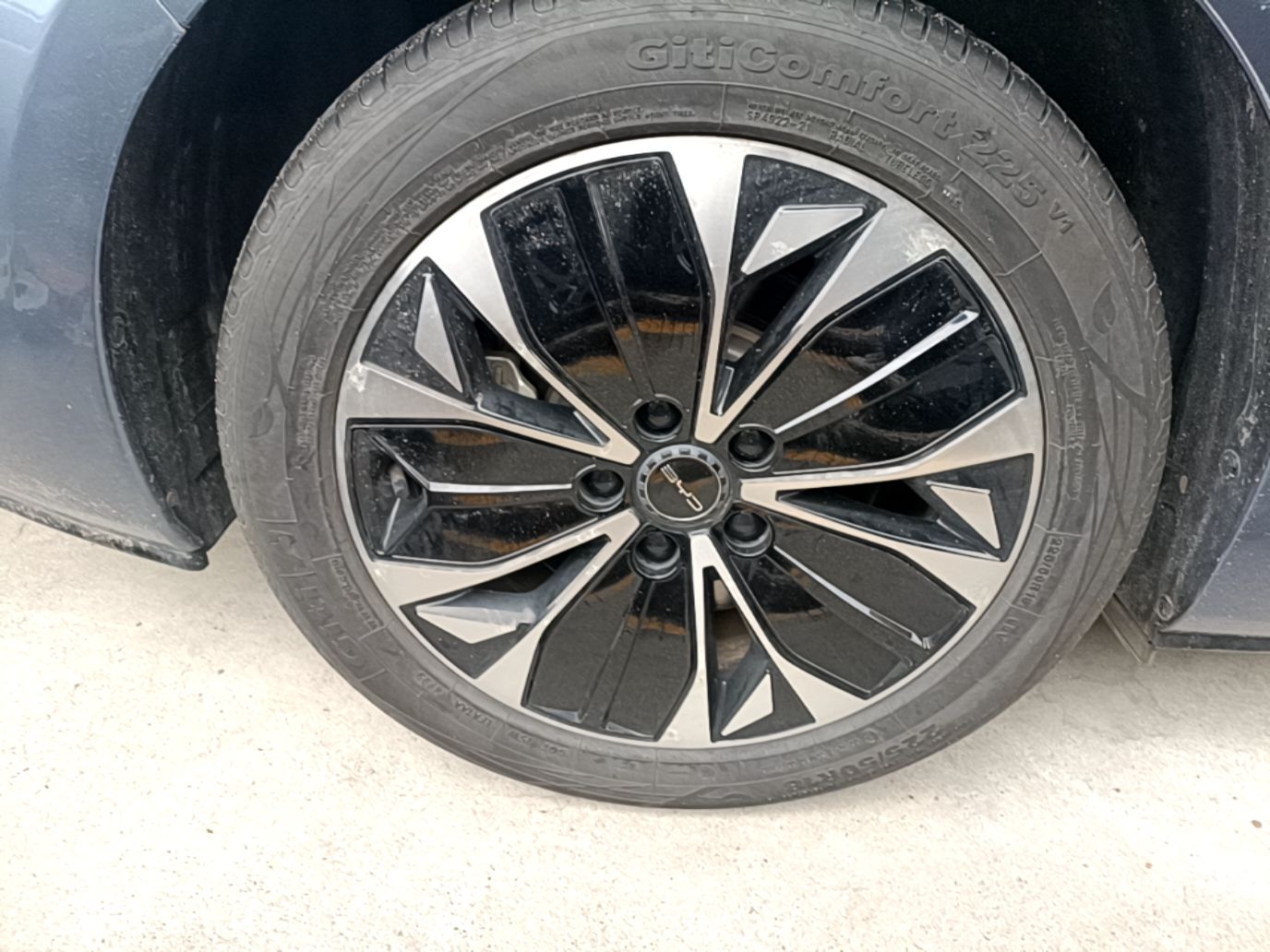 BYD Seal 2023 Champion Edition 550km Elite Model — снимка 11