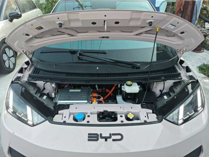 Used BYD Seagull 2025 Smart Drive Version 305 km Freedom Edition — 19