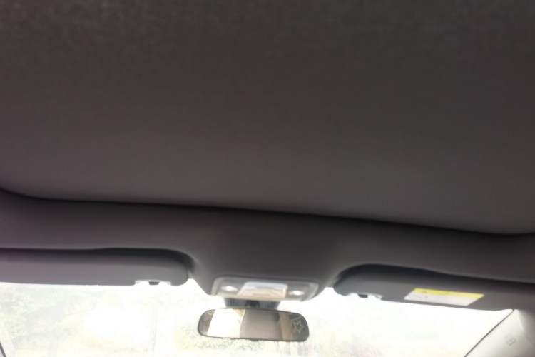 Used BYD Dolphin 2023 420 km Fashion Edition Headliner