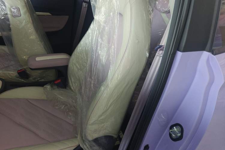 Used Chery Little Ant 2022 Me 301km Romance Phosphate Lithium-Iron
