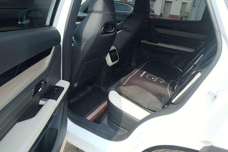 Used JETOUR Shanhai L6 2024 1.5TD DHT MAX
